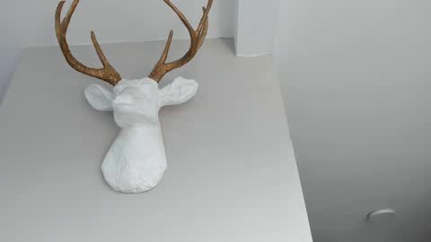 Paul online show from September 15, 3:57 pm