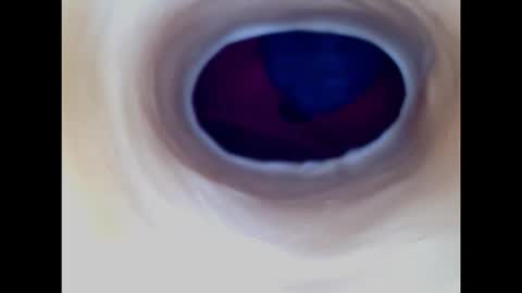 Paula 18 Aninhos online show from February 14, 2:58 am