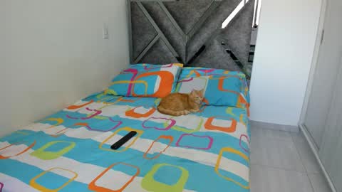 Paulina online show from November 5, 9:06 pm