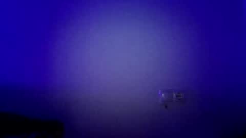 paw8686 online show from September 11, 4:47 am