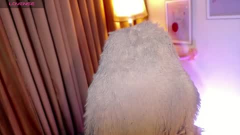 Angel Creamdensada online show from May 27, 2:08 am