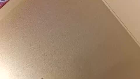 pebblessmith453 online show from January 8, 12:55 pm