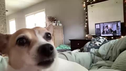 pegggggysue69 online show from April 4, 6:26 pm