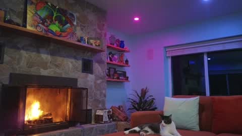 Peppermint and Dusty  online show from February 22, 2:15 am