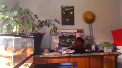 Perinne50 online show from December 16, 9:20 pm