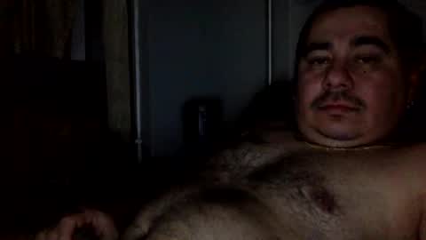 perro2010joshua online show from January 8, 12:28 am