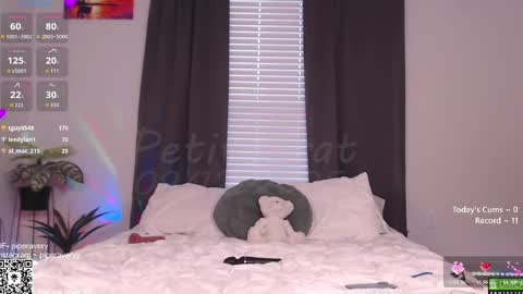Snapshot of petitebrat chatting on September 13, 12:02 am PiperAvery online show from September 13, 12:02 am