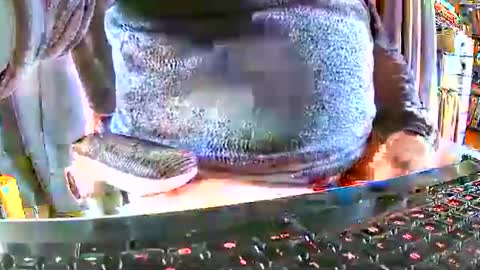 Gabu online show from December 15, 9:49 am