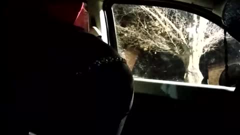 phillipdee online show from February 1, 10:01 am