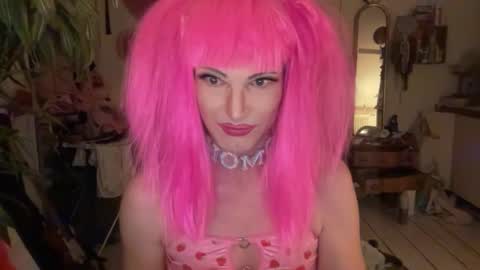 pinkfag online show from January 14, 6:49 pm
