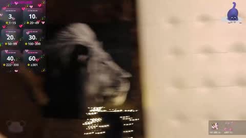 Pinky online show from February 15, 8:01 pm