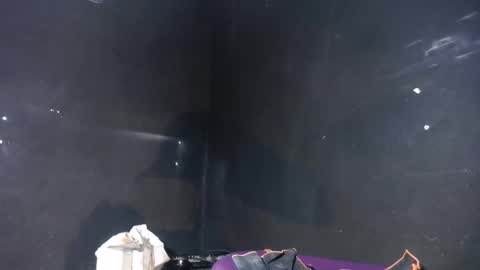 pirata_privado online show from December 5, 10:36 am