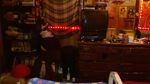 Izzy online show from September 22, 1:31 am