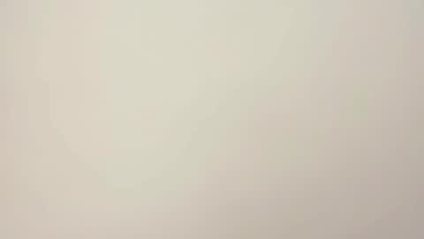 PeggedBiGuy online show from February 12, 8:51 am