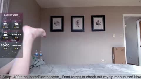 Plantbabeee online show from December 20, 6:13 pm