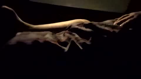 Nichole Vixen  Jacob online show from March 8, 12:09 pm