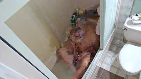 Krissy online show from December 1, 12:19 am