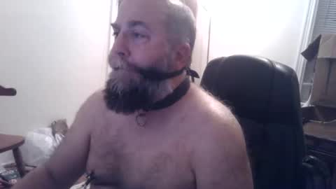 Snapshot of pleasurepuppt chatting on December 3, 1:47 am pleasurepuppt online show from December 3, 1:47 am