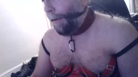 Snapshot of pleasurepuppt chatting on January 22, 2:48 am pleasurepuppt online show from January 22, 2:48 am