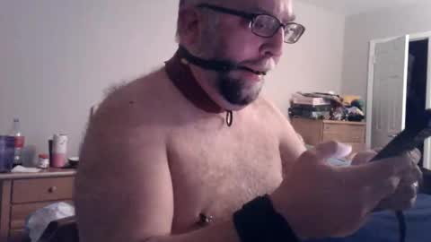 pleasurepuppt online show from October 26, 4:35 am