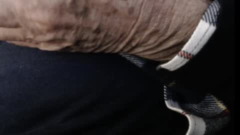 pllkgh45ymn online show from October 16, 4:06 pm