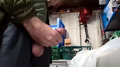 po13o online show from November 22, 10:24 am