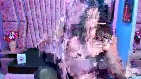 poly sasha  online show from February 7, 3:13 am