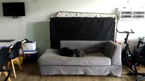 Snapshot of popopo00 chatting on January 28, 5:24 pm popopo0 online show from January 28, 5:24 pm