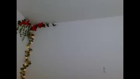 porcelainlux online show from December 16, 2:30 am