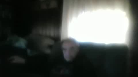 porkingit400 online show from November 19, 6:50 pm