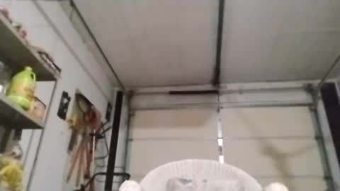 PipeLayerPlayer007 online show from October 4, 5:38 am