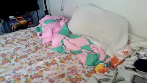 Snapshot of pppawg chatting on January 20, 4:34 pm PAWG Pale Princess online show from January 20, 4:34 pm