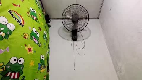 Dinah online show from December 19, 9:06 pm