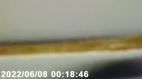 pretty_boy_jack online show from February 12, 2:56 am