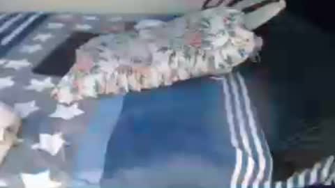 pretty_clare online show from June 17, 11:37 am