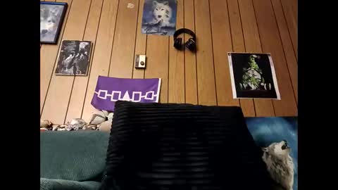 prettysolid7 online show from October 9, 1:44 am