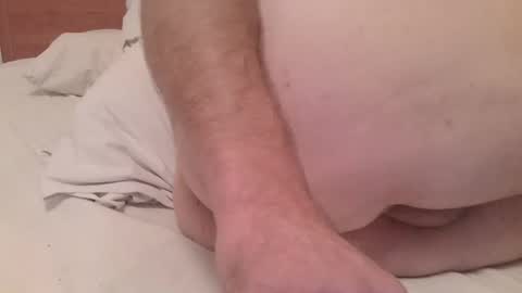 primalica2024 online show from December 17, 12:01 am