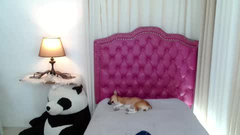 princessyanzy1 online show from February 9, 3:43 am