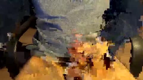 prittinho online show from February 3, 7:18 am