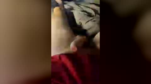 procrasturbate321 online show from June 16, 8:13 pm