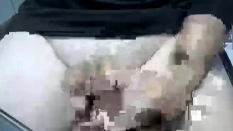 psfunman online show from February 16, 5:48 pm