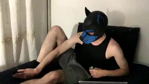 Toby online show from November 17, 9:50 pm