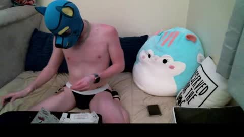 Pup Orion online show from December 19, 12:34 am