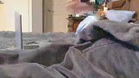 purdyguy7777 online show from October 8, 5:19 pm