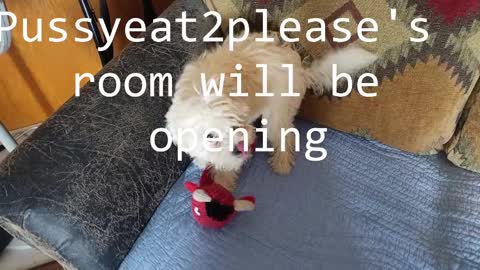 Rick online show from February 25, 9:04 pm