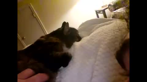 Sexthreeapy online show from December 18, 6:20 am