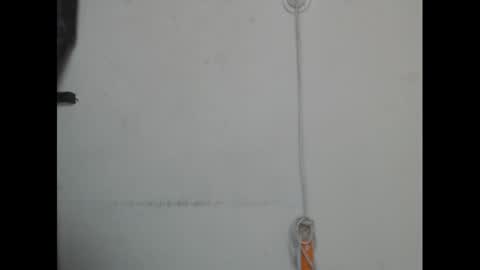 pussyxcockx online show from March 7, 1:29 pm