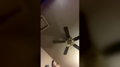 pyrex8 online show from December 14, 12:00 pm