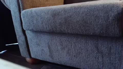 pyrichar31 online show from September 18, 11:31 pm