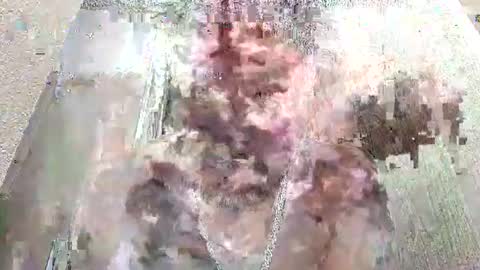 rabbit41390 online show from February 25, 3:52 am